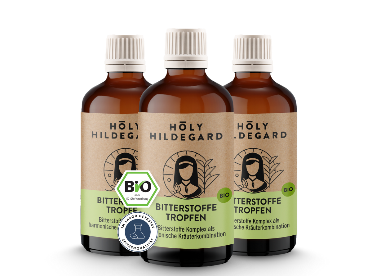 Holy Hildegard BitterPower Kräuterbitter Original (BIO) 100 ml