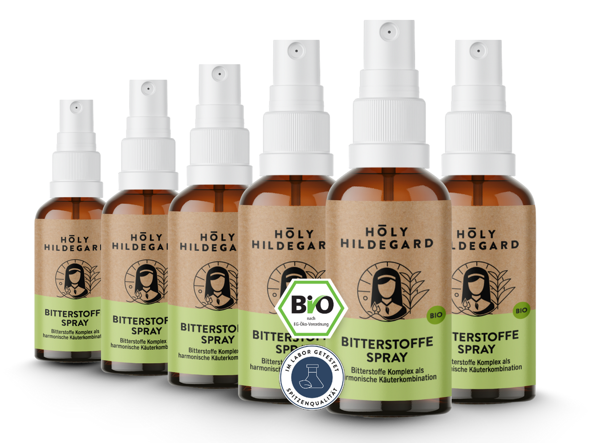Holy Hildegard BitterPower Spray Kräuterbitter Original (BIO) 20 ml