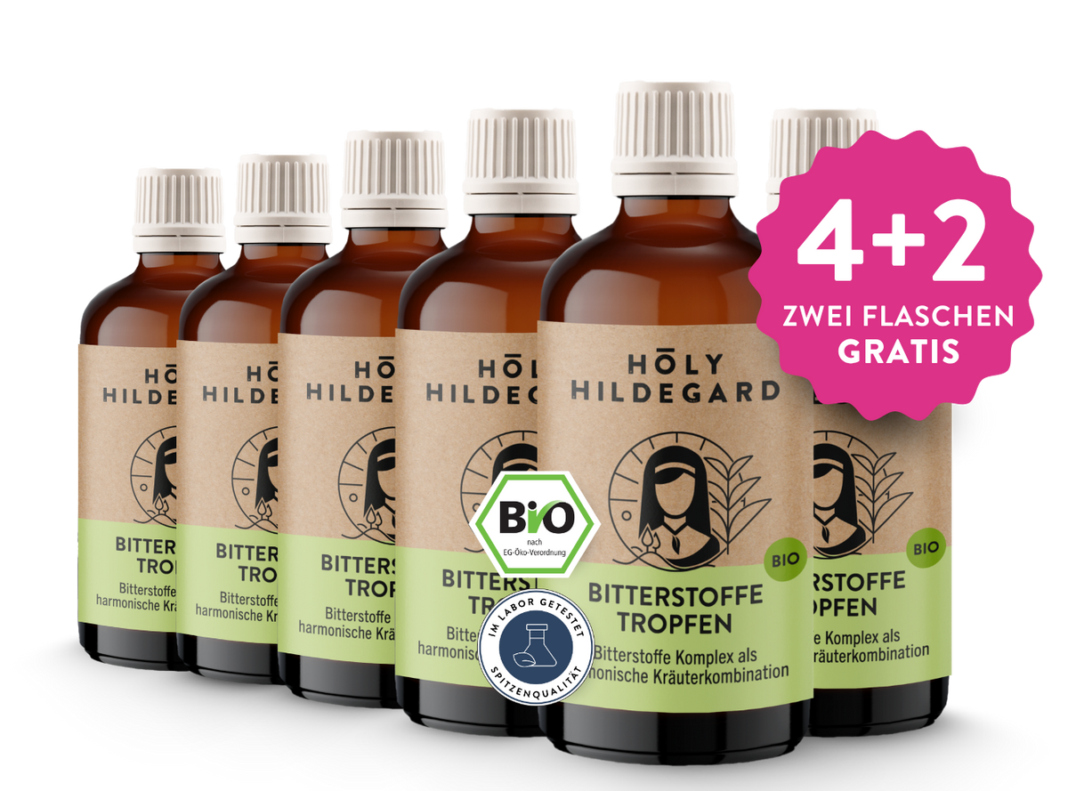Holy Hildegard BitterPower Kräuterbitter Original (BIO) 100 ml
