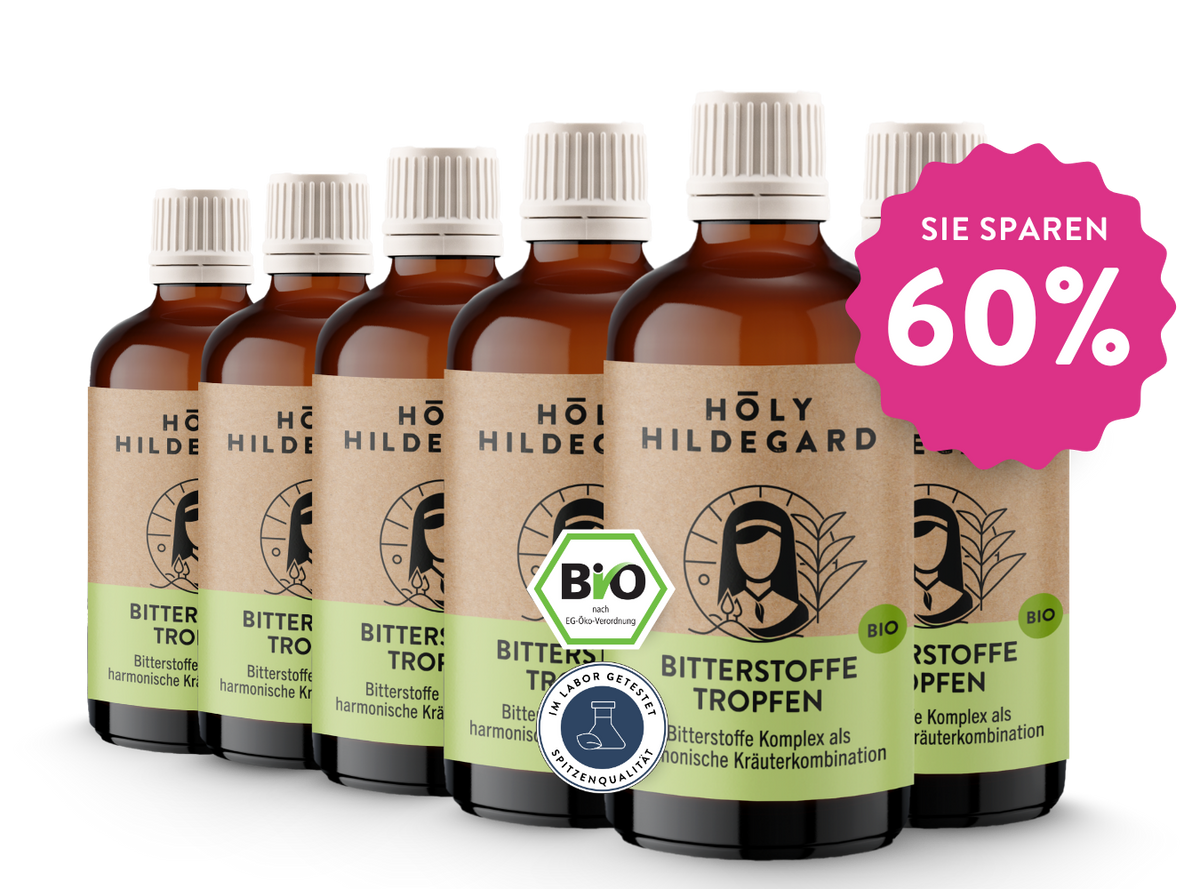 Holy Hildegard BitterPower Kräuterbitter Original (BIO) 100 ml