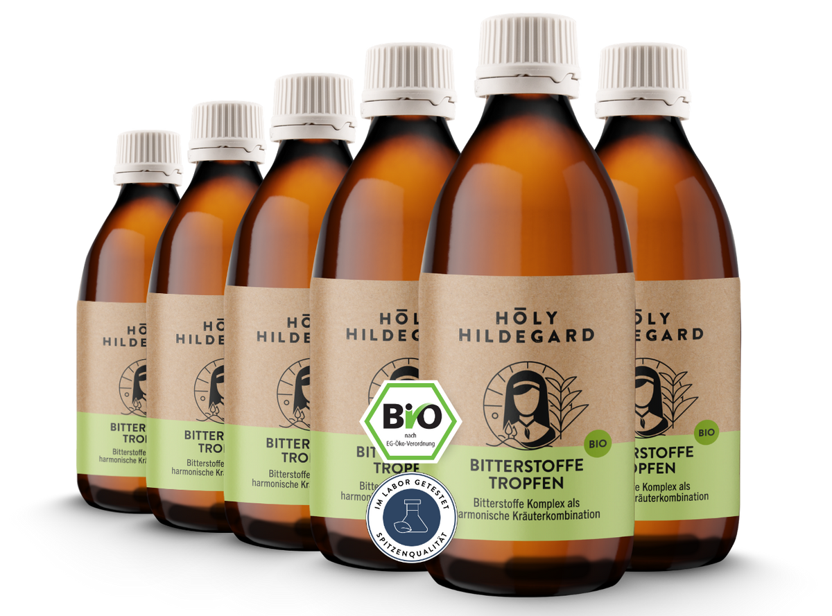 Holy Hildegard BitterPower Kräuterbitter Original (BIO) 200 ml