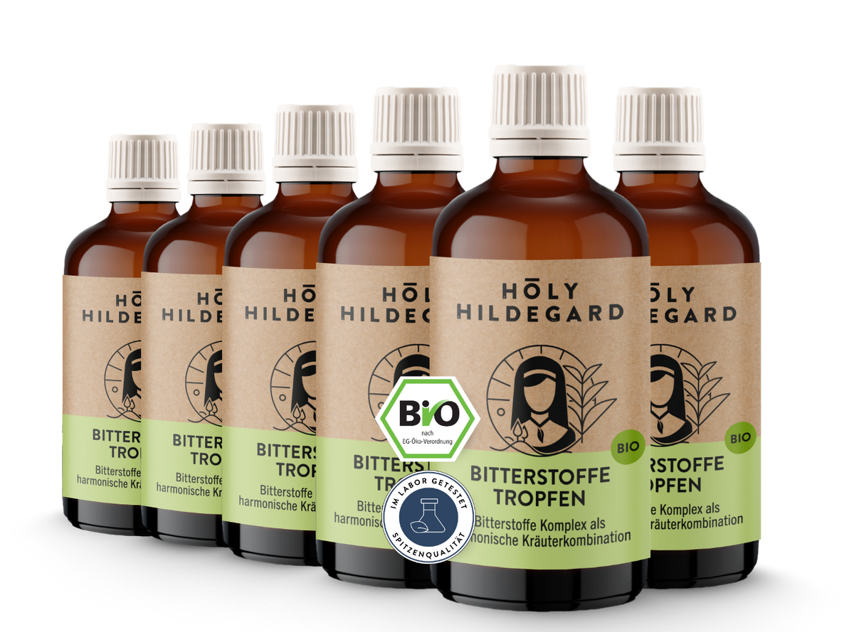 Holy Hildegard BitterPower Kräuterbitter Original (BIO) 100 ml