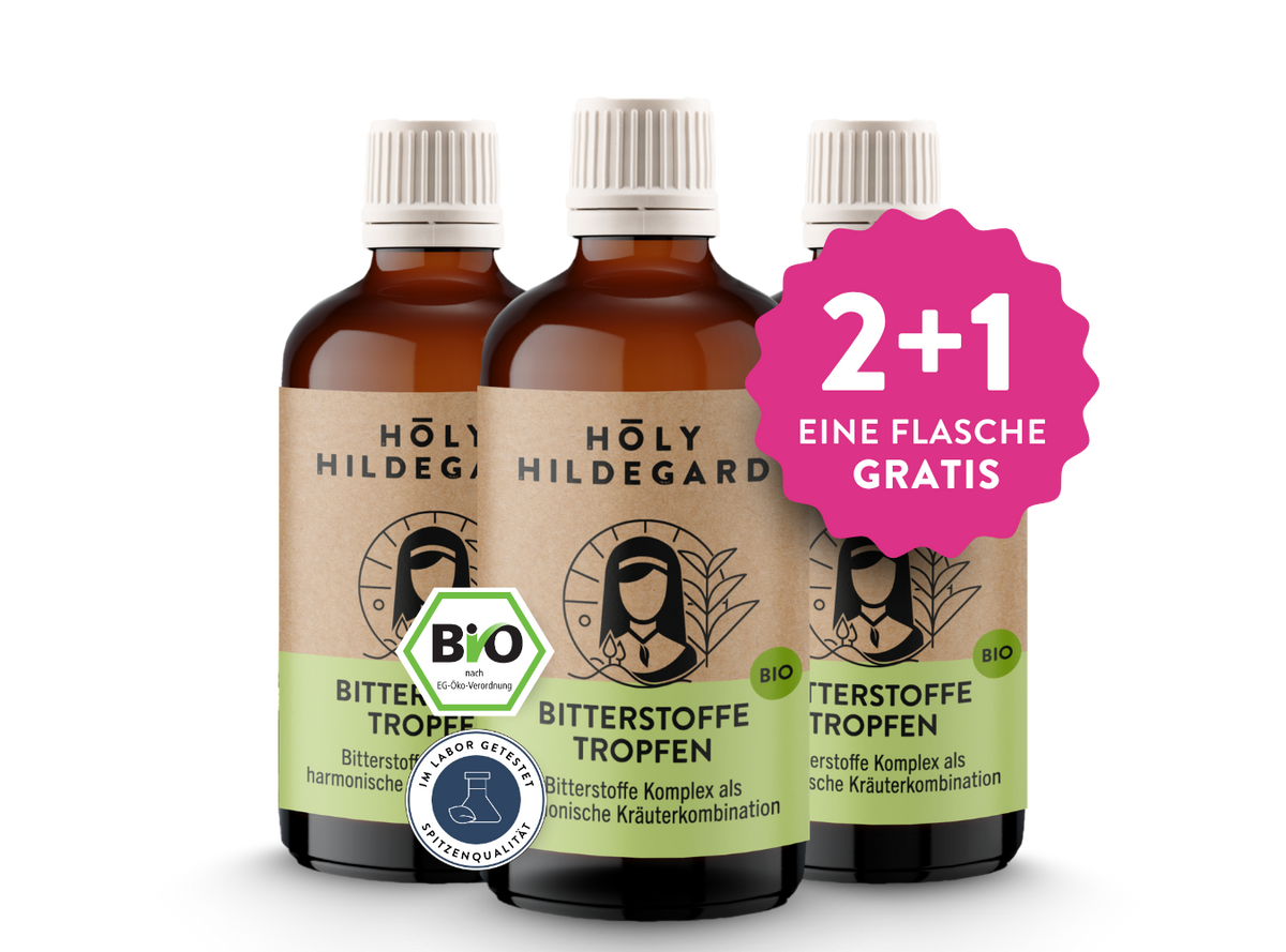 Holy Hildegard BitterPower Kräuterbitter Original (BIO) 100 ml