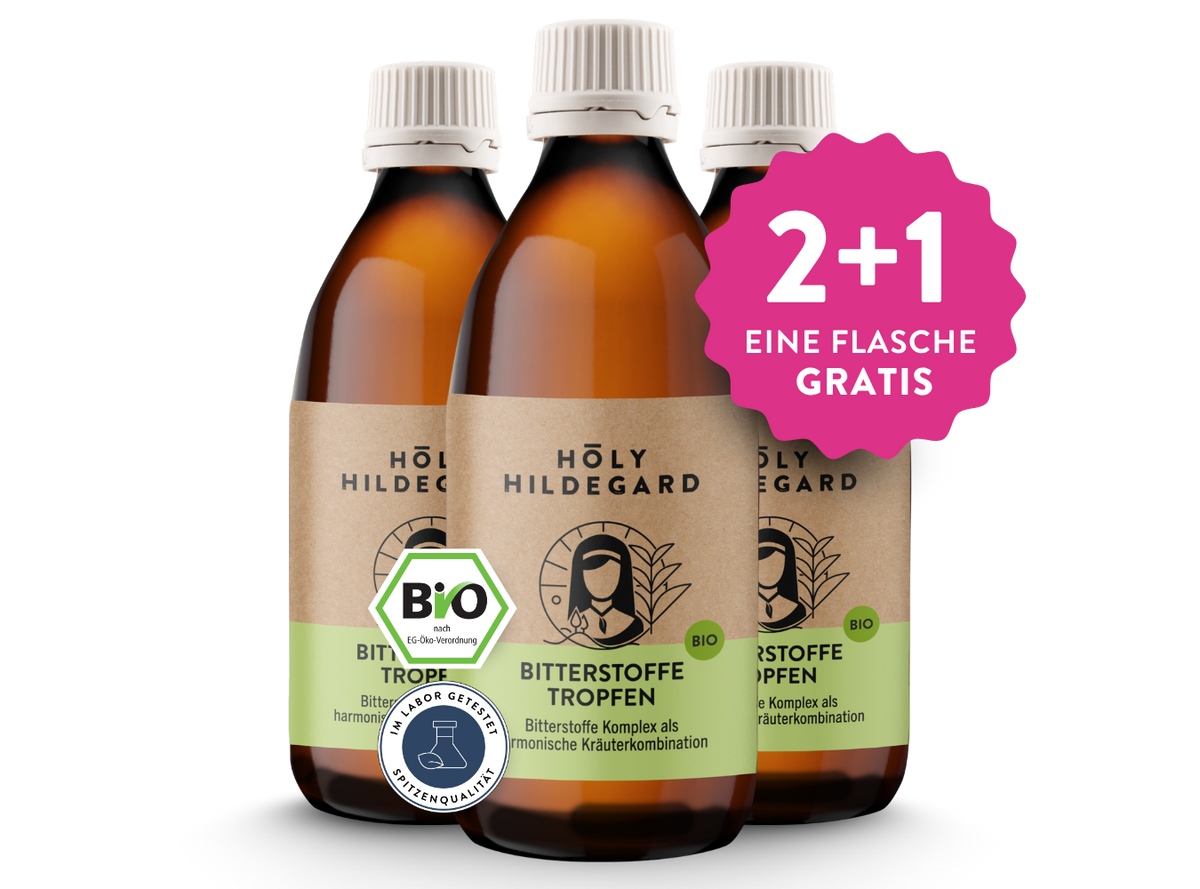 Holy Hildegard BitterPower Kräuterbitter Original (BIO) 200 ml